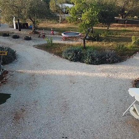 Ses Quinta Luxury Safari Tents パデルネ エクステリア 写真