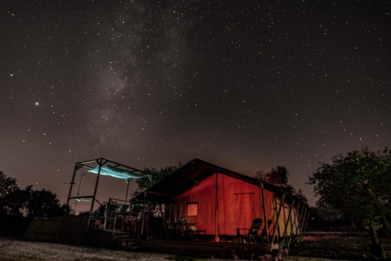 Ses Quinta Luxury Safari Tents パデルネ エクステリア 写真