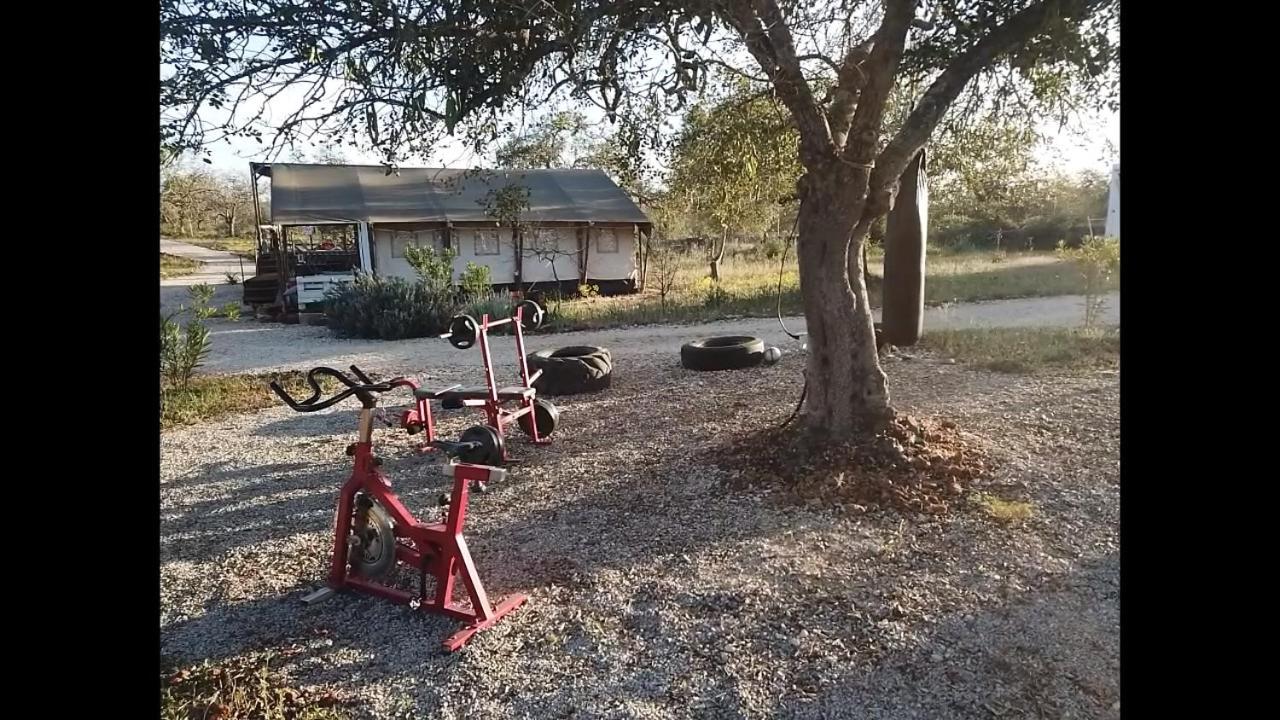 Ses Quinta Luxury Safari Tents パデルネ エクステリア 写真